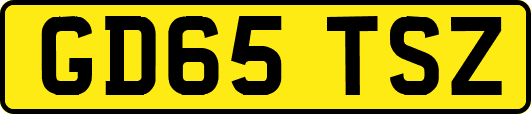 GD65TSZ