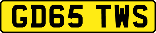 GD65TWS
