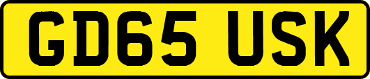 GD65USK