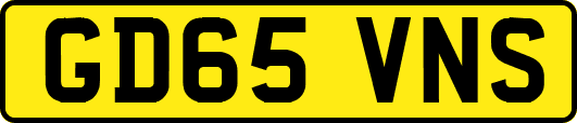 GD65VNS