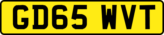 GD65WVT