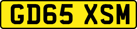 GD65XSM