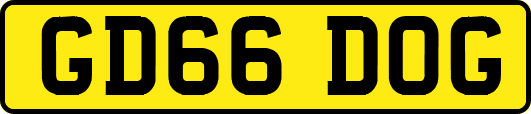 GD66DOG