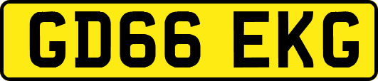 GD66EKG