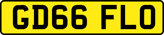 GD66FLO