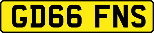 GD66FNS