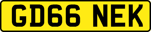 GD66NEK