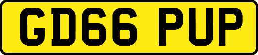 GD66PUP