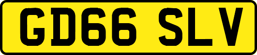 GD66SLV