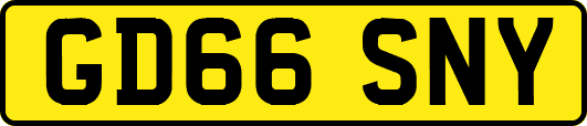 GD66SNY