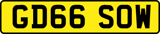 GD66SOW