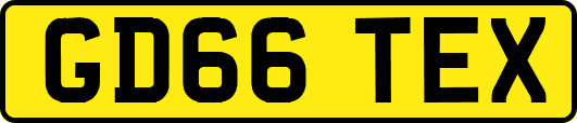 GD66TEX