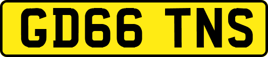 GD66TNS