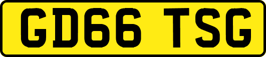GD66TSG