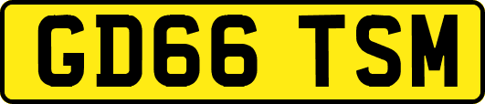 GD66TSM