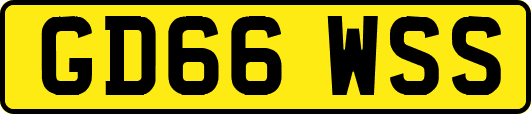 GD66WSS