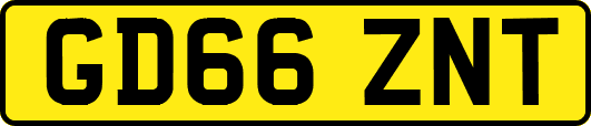 GD66ZNT
