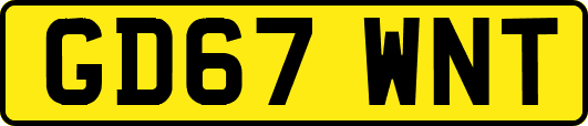 GD67WNT