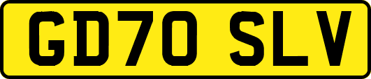 GD70SLV
