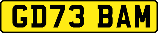 GD73BAM