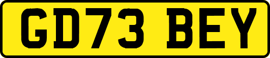 GD73BEY
