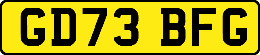 GD73BFG