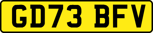 GD73BFV