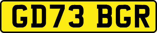 GD73BGR