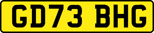 GD73BHG