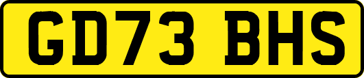 GD73BHS