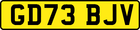 GD73BJV