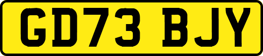 GD73BJY