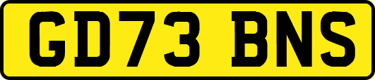 GD73BNS