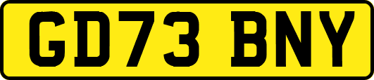GD73BNY