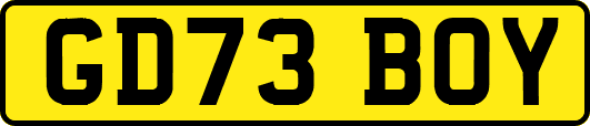 GD73BOY