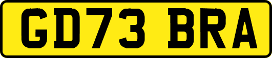 GD73BRA