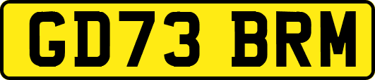 GD73BRM