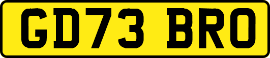GD73BRO