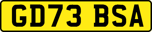 GD73BSA