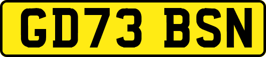 GD73BSN