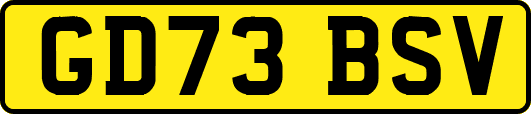 GD73BSV