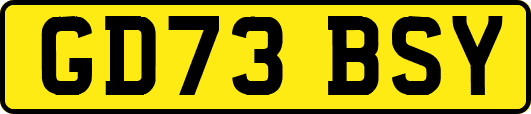 GD73BSY