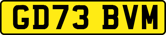 GD73BVM