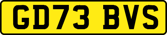 GD73BVS
