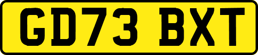 GD73BXT