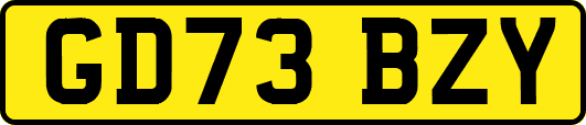 GD73BZY