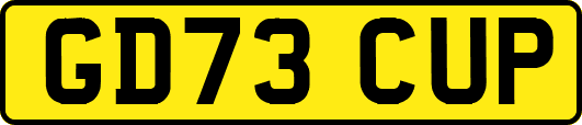 GD73CUP