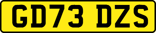GD73DZS