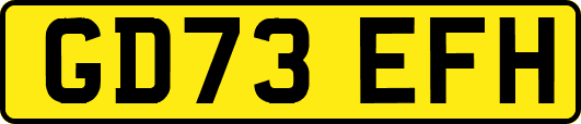 GD73EFH