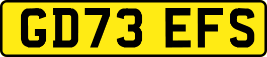 GD73EFS